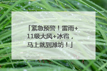 紧急预警！雷雨+11级大风+冰雹，马上就到潍坊！