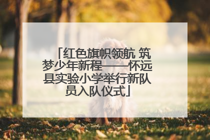 红色旗帜领航 筑梦少年新程——怀远县实验小学举行新队员入队仪式