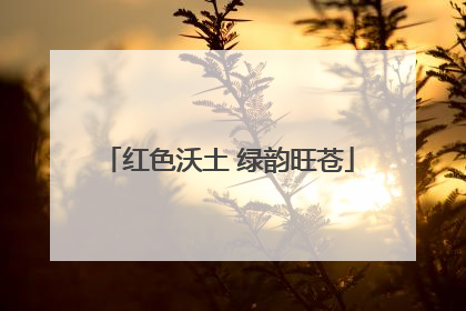 红色沃土 绿韵旺苍