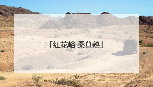 红花峪 桑葚熟