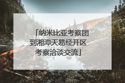 纳米比亚考察团到湘潭天易经开区考察洽谈交流