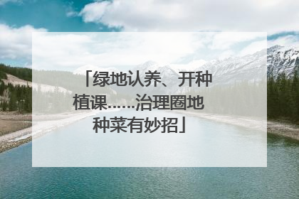 绿地认养、开种植课……治理圈地种菜有妙招