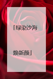 绿染沙海焕新颜