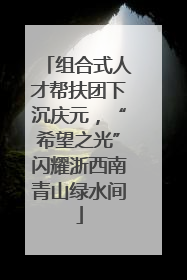 组合式人才帮扶团下沉庆元，“希望之光”闪耀浙西南青山绿水间