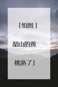 组图丨韶山的黄桃熟了