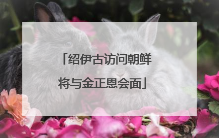 绍伊古访问朝鲜 将与金正恩会面
