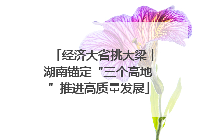 经济大省挑大梁丨湖南锚定“三个高地”推进高质量发展