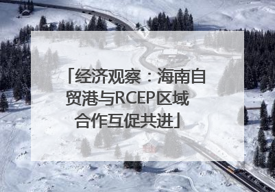 经济观察：海南自贸港与RCEP区域合作互促共进