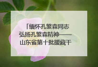 缅怀孔繁森同志 弘扬孔繁森精神——山东省第十批援藏干部人才清明节前到岗巴县开展党性教育