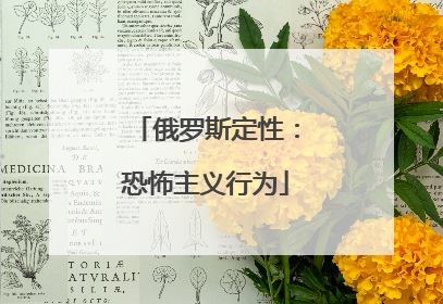 俄罗斯定性：恐怖主义行为