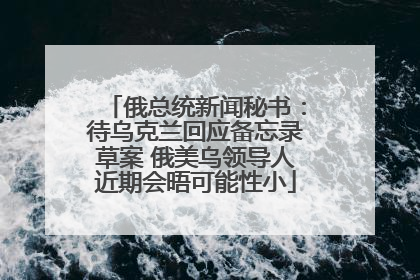 俄总统新闻秘书：待乌克兰回应备忘录草案 俄美乌领导人近期会晤可能性小