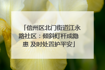 信州区北门街道江永路社区：倾斜灯杆成隐患 及时处置护平安