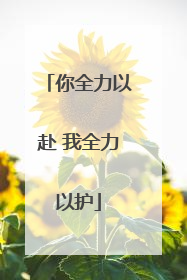 你全力以赴 我全力以护