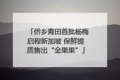 侨乡青田首批杨梅启程新加坡 保鲜提质售出“金果果”