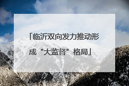 临沂双向发力推动形成“大监督”格局