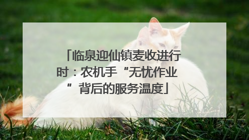 临泉迎仙镇麦收进行时：农机手“无忧作业”背后的服务温度