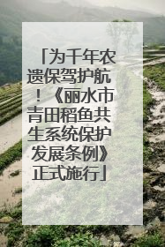 为千年农遗保驾护航！《丽水市青田稻鱼共生系统保护发展条例》正式施行