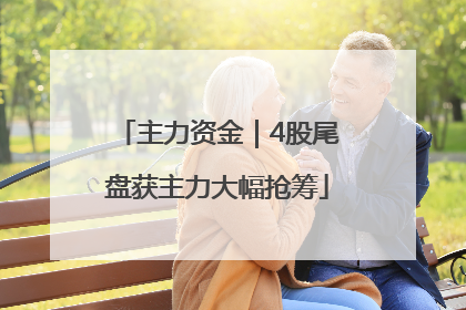 主力资金｜4股尾盘获主力大幅抢筹
