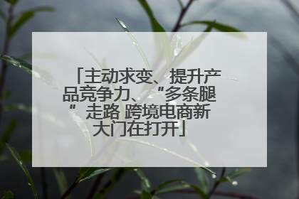 主动求变、提升产品竞争力、“多条腿”走路 跨境电商新大门在打开