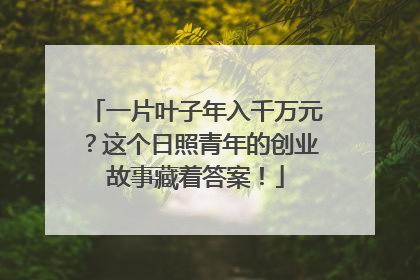 一片叶子年入千万元？这个日照青年的创业故事藏着答案！