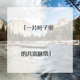 一片叶子里的共富脉络