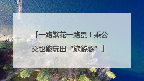 一路繁花一路景！乘公交也能玩出“旅游感”