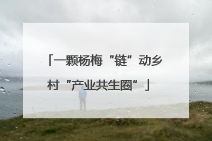 一颗杨梅“链”动乡村“产业共生圈”