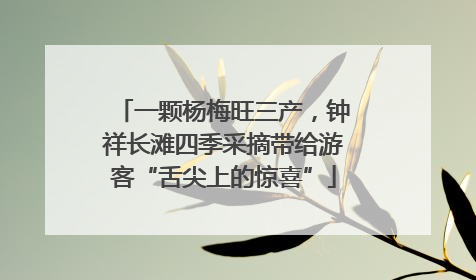 一颗杨梅旺三产，钟祥长滩四季采摘带给游客“舌尖上的惊喜”