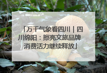 万千气象看四川｜四川绵阳：擦亮文旅品牌 消费活力继续释放