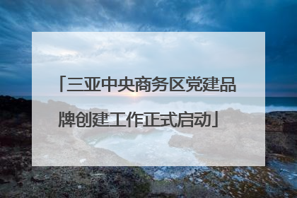 三亚中央商务区党建品牌创建工作正式启动