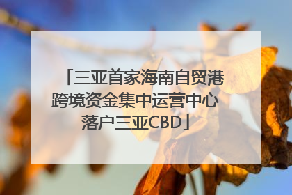 三亚首家海南自贸港跨境资金集中运营中心落户三亚CBD