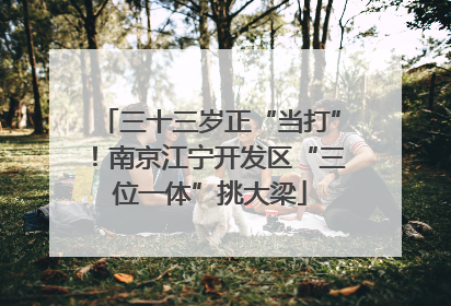 三十三岁正“当打”！南京江宁开发区“三位一体”挑大梁
