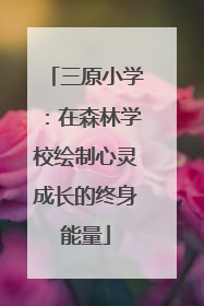 三原小学：在森林学校绘制心灵成长的终身能量