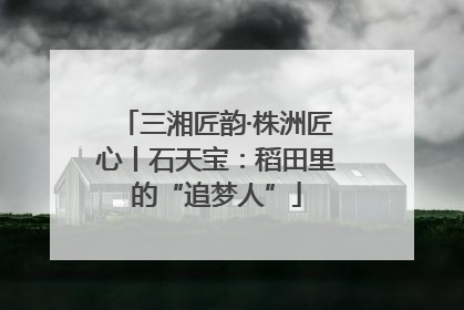 三湘匠韵·株洲匠心丨石天宝：稻田里的“追梦人”