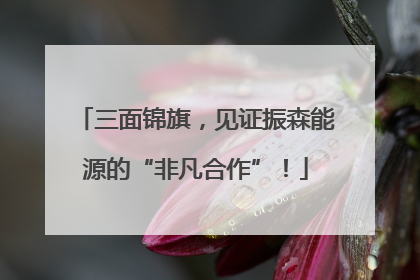 三面锦旗，见证振森能源的“非凡合作”！