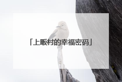 上畈村的幸福密码