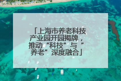 上海市养老科技产业园开园揭牌，推动“科技”与“养老”深度融合