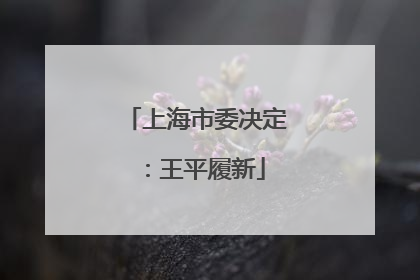 上海市委决定：王平履新