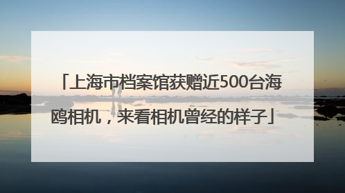 上海市档案馆获赠近500台海鸥相机，来看相机曾经的样子