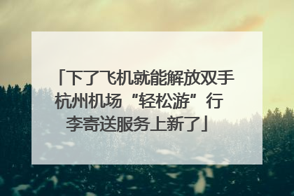 下了飞机就能解放双手 杭州机场“轻松游”行李寄送服务上新了