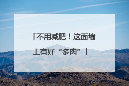 不用减肥！这面墙上有好“多肉”