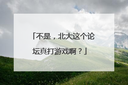 不是，北大这个论坛真打游戏啊？