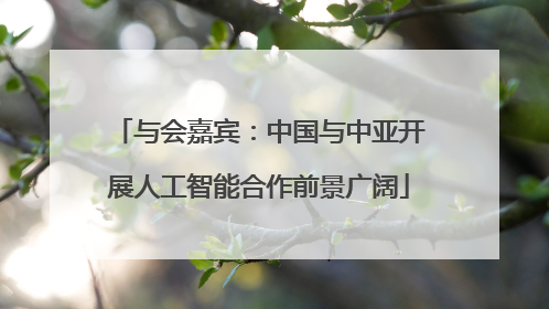 与会嘉宾：中国与中亚开展人工智能合作前景广阔