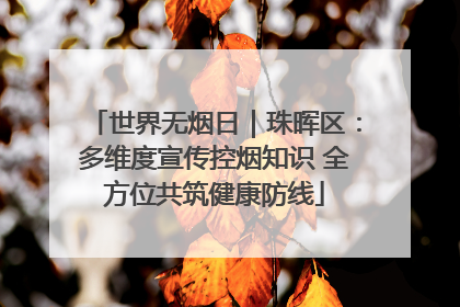 世界无烟日｜珠晖区：多维度宣传控烟知识 全方位共筑健康防线