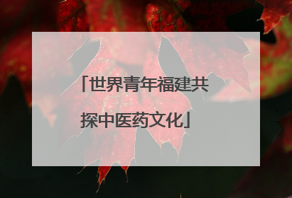 世界青年福建共探中医药文化
