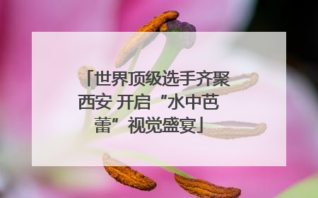 世界顶级选手齐聚西安 开启“水中芭蕾”视觉盛宴