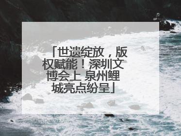 世遗绽放，版权赋能！深圳文博会上 泉州鲤城亮点纷呈