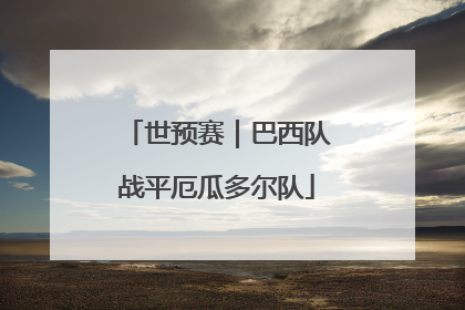世预赛｜巴西队战平厄瓜多尔队