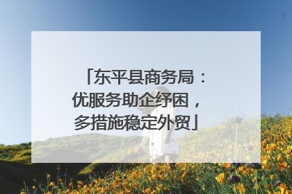 东平县商务局：优服务助企纾困，多措施稳定外贸