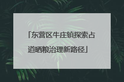 东营区牛庄镇探索占道晒粮治理新路径